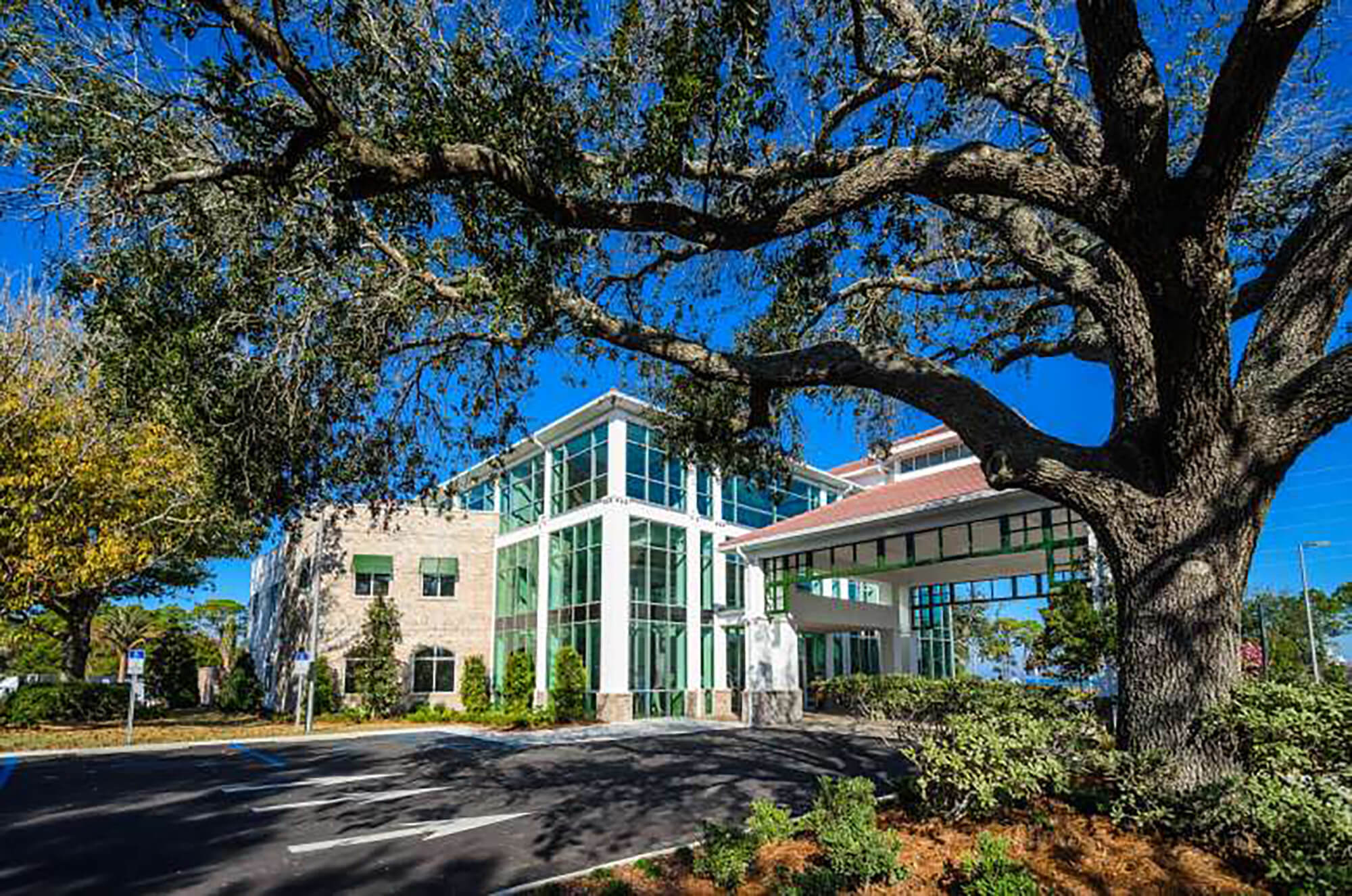 The exterior of the Sandestin Welcome Center, under the canopy of a large tree